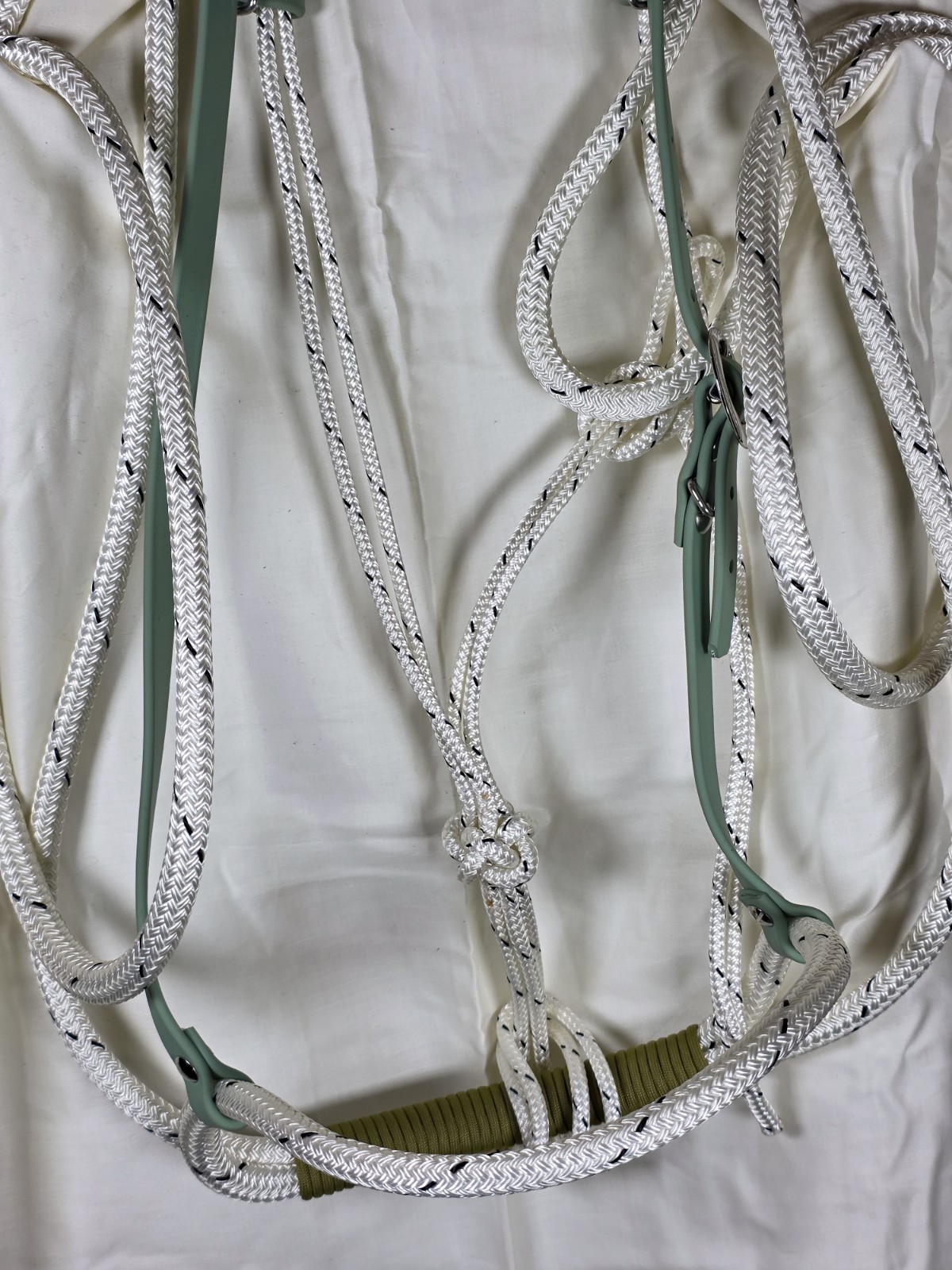 Soft Nose Loping Bridle