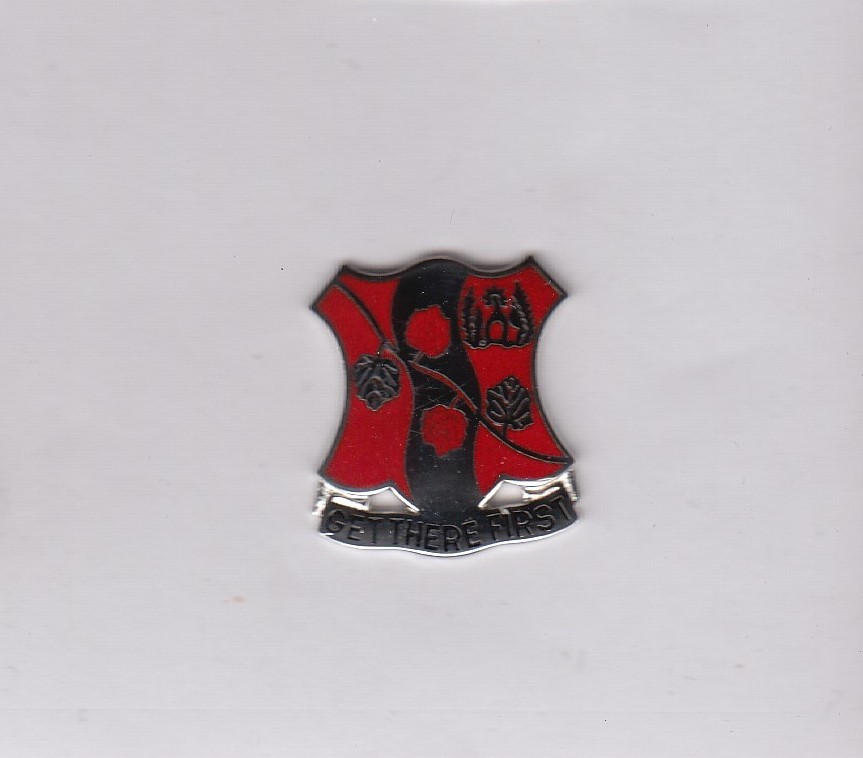 151st Engineer Battalion DUI crest c/b clutchback badge G-23