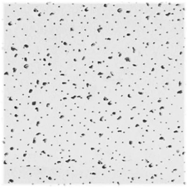 USG Interiors R2120 Radar Ceiling Tile - Pack Of 16