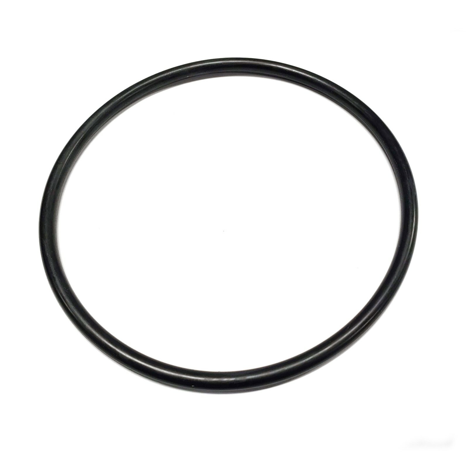 O-Ring for Waterway Champion Trap Lid - Replaces Waterway 805-0436 Free Shipping