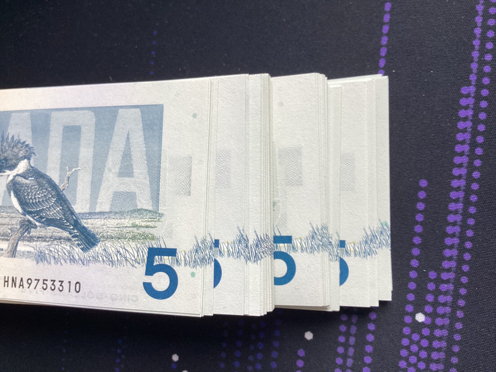 Canada $5 1986 bank note Bird Series