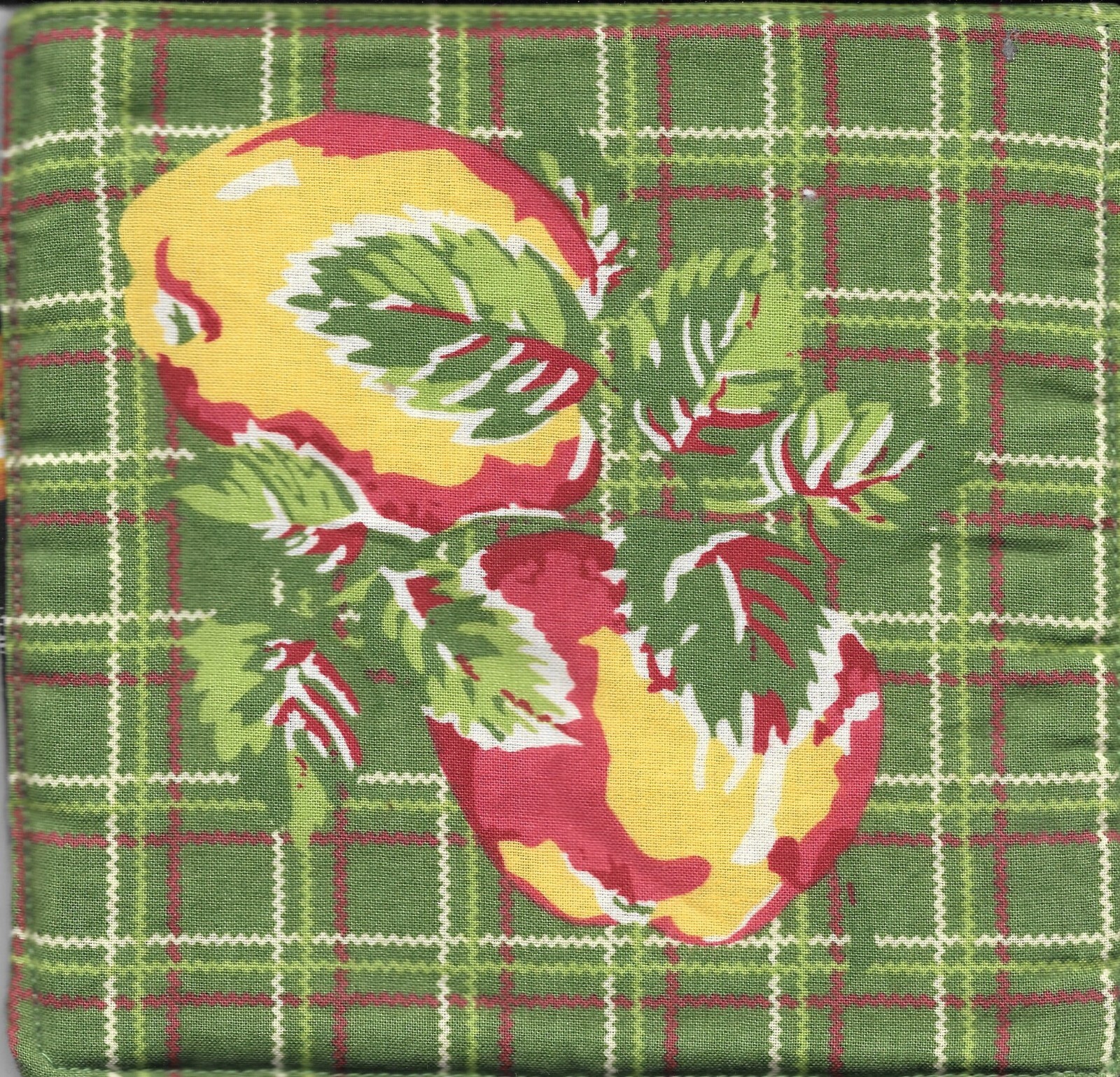 Handmade Fruit and Vegetable Theme Hot Pads, eg - Apples, Blueberries, Grapes