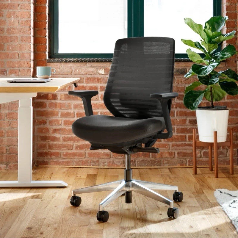 Branch Ergonomic Chair Black Mesh Adjustable Lumbar 8-Point Home Office Chair