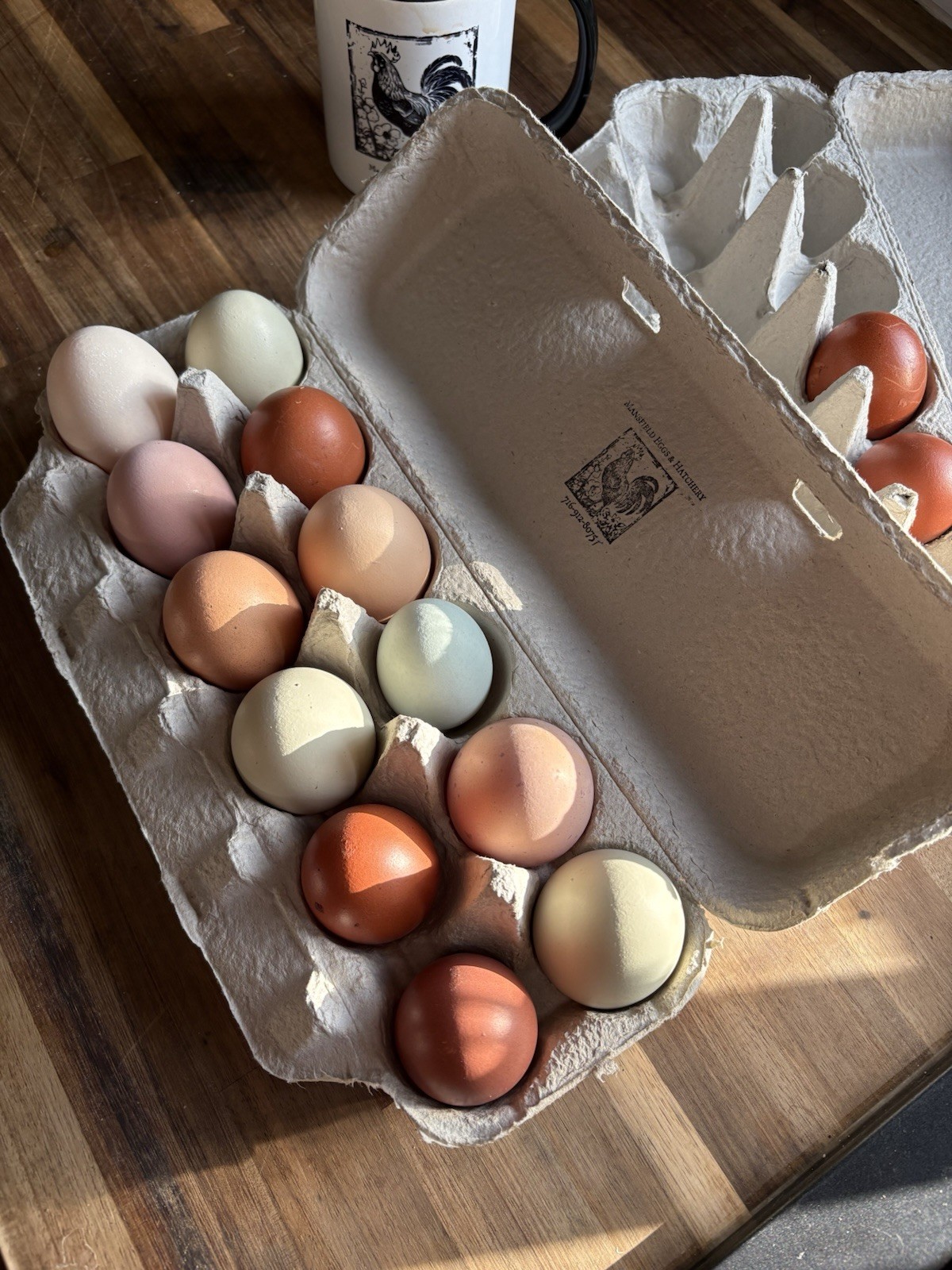 12 + fertile assorted hatching eggs rainbow READ DESCRIPTION