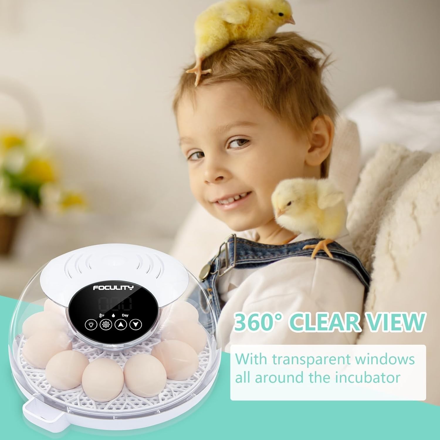 Egg Incubator for Hatching Chicks, Holds 12 Eggs, Automatic Egg Turner with Temp