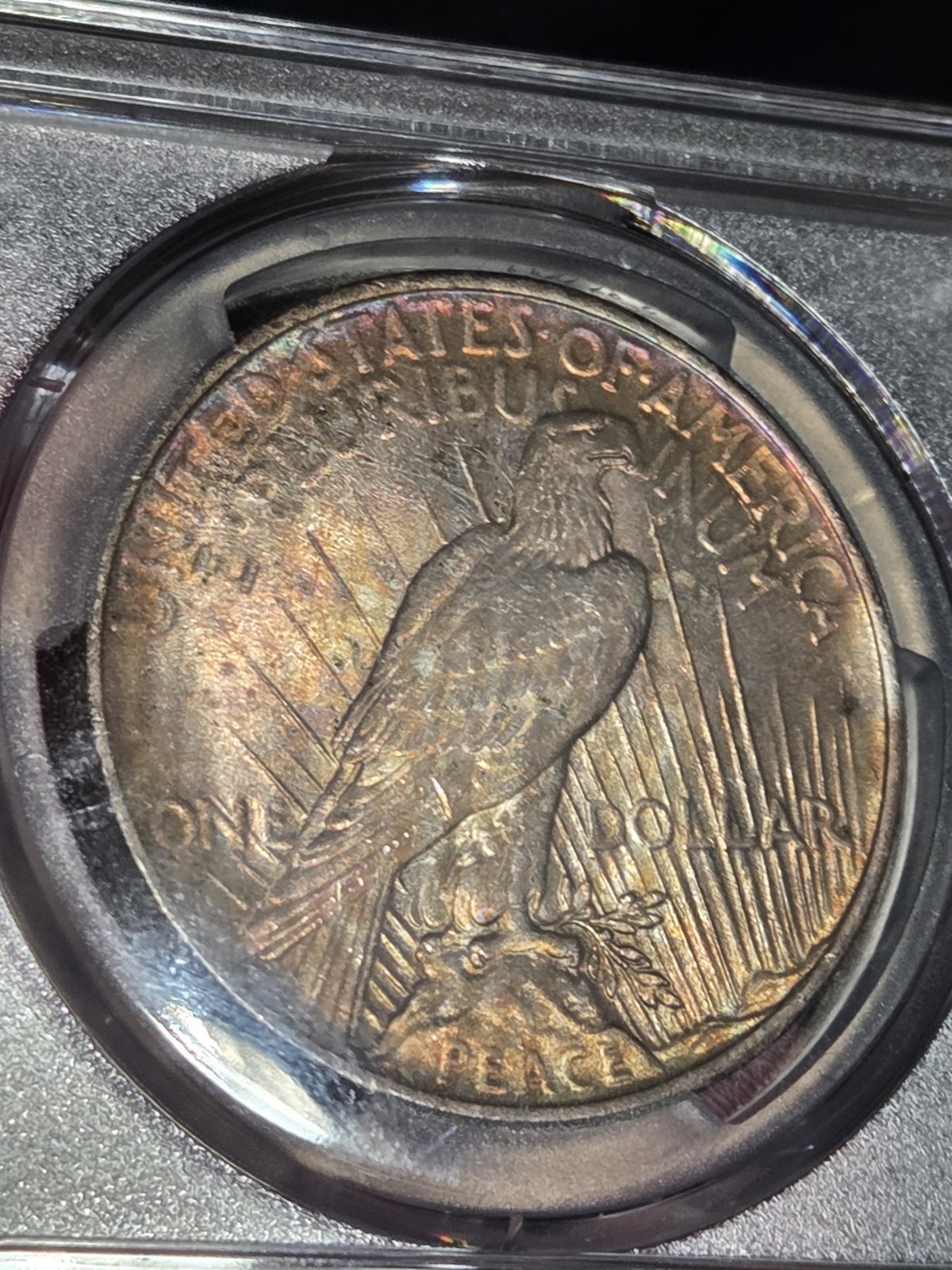 1924 $1 Peace Dollar PCGS MS64 Toned