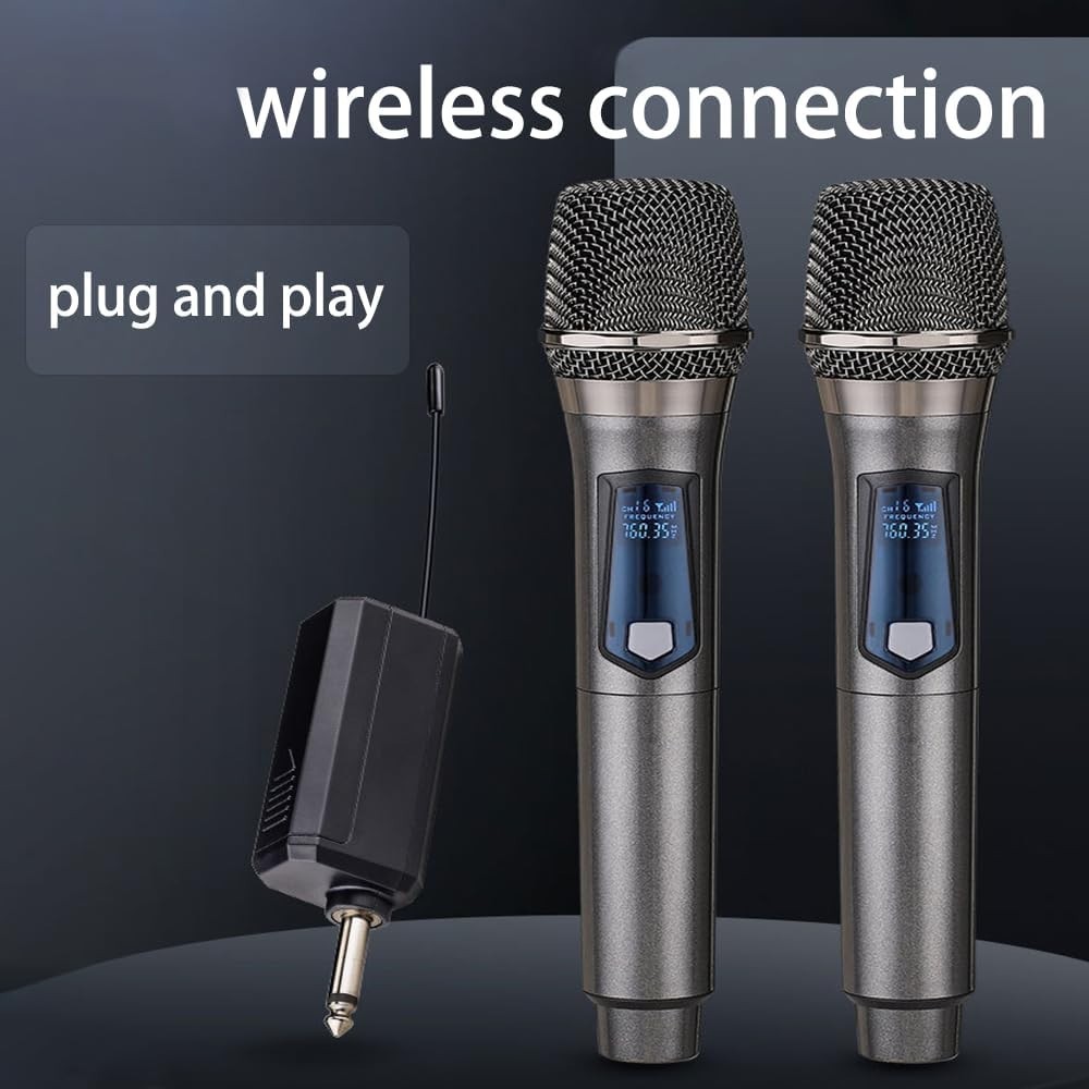 Rechargeable Fixed Frequency Wireless Dual Microphone,Handheld Dynamic Mic