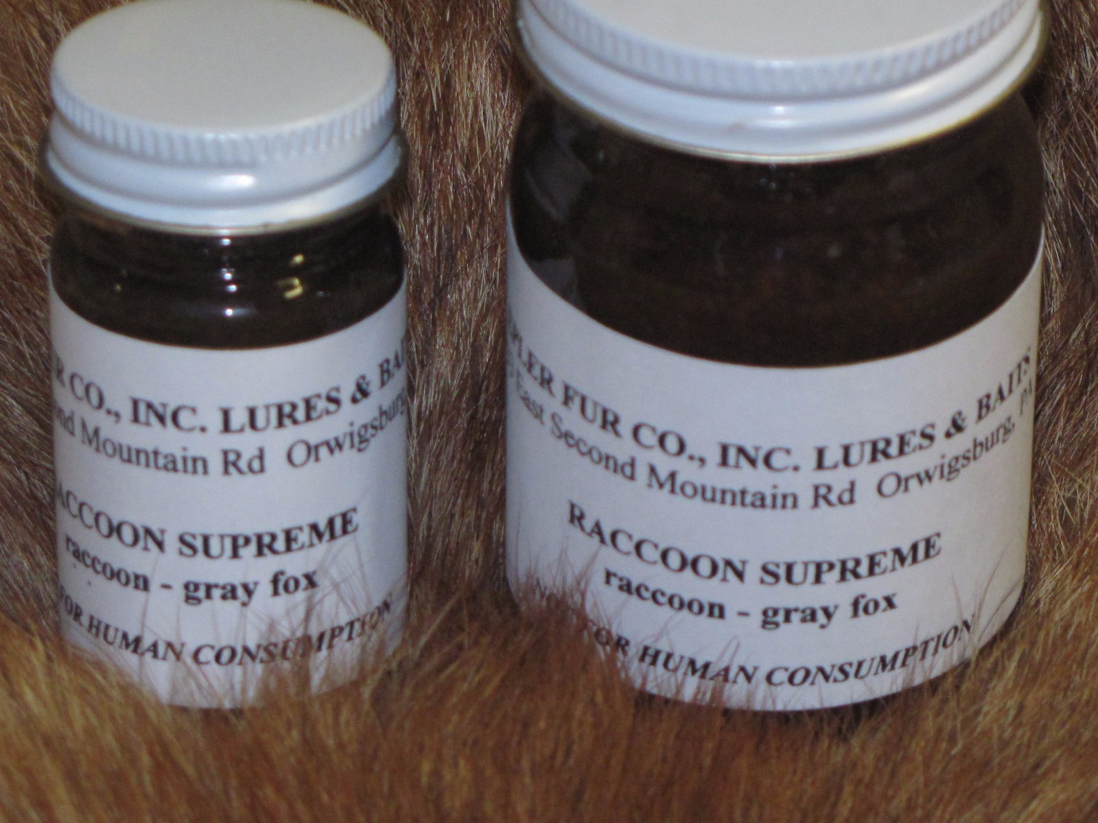 Epler Raccoon Supreme lure ( raccoon fox ) trapping, live trap NEW SALE