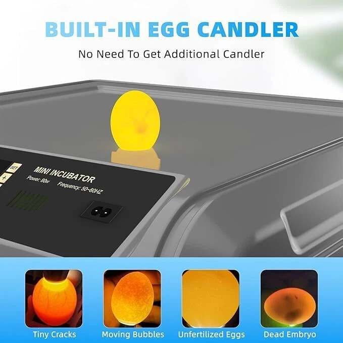 500Egg Digital Incubator With Automatic Turning Temperature And Humidity Control