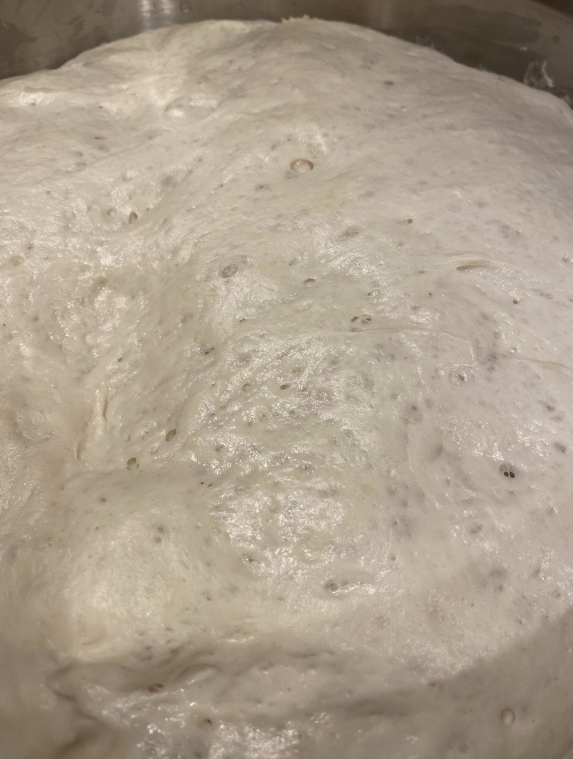 Dehydrated Sourdough Starter!