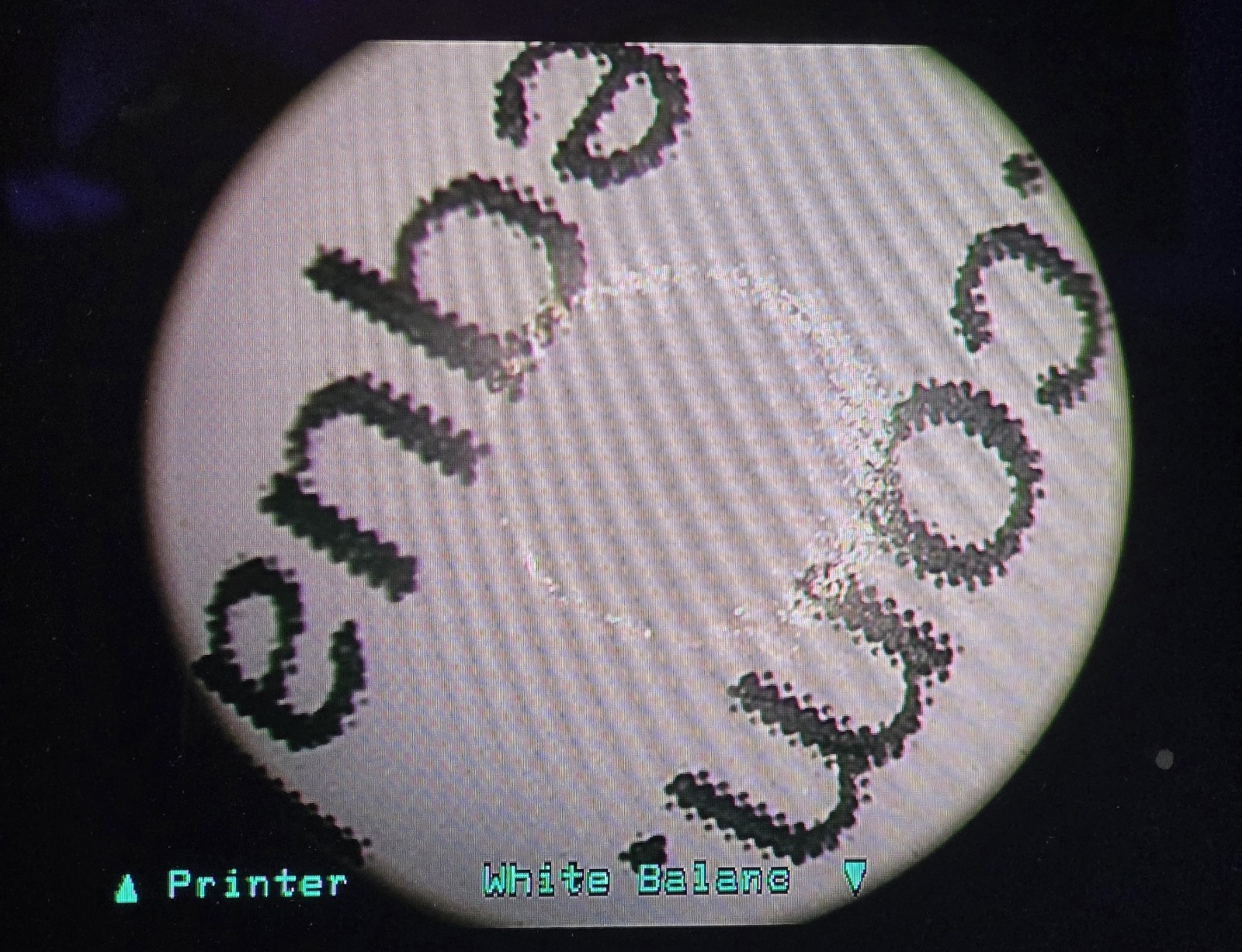 Storz 22220132 Image1 P3 NTSC Camera SN HA752199-H