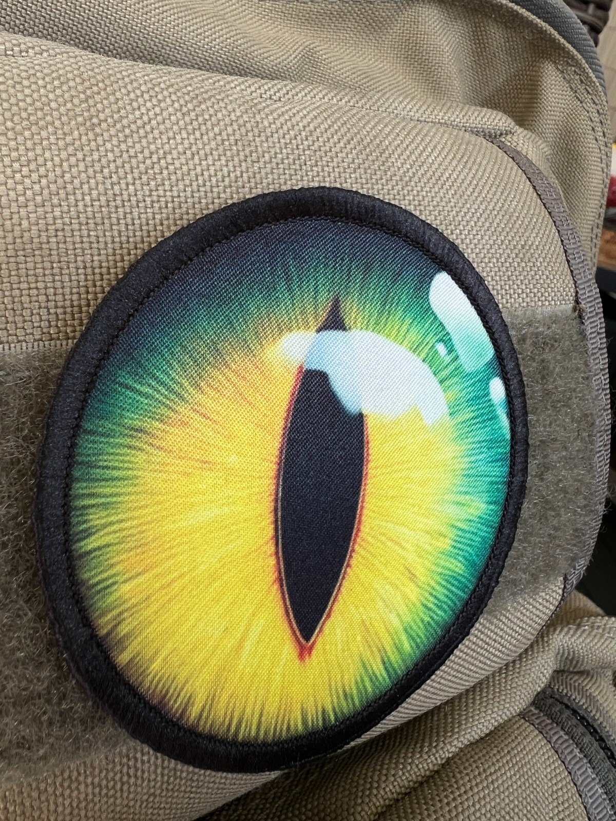Cat Blackbeard Pirate Flag Morale Patch Tactical ARMY Hook Military USA