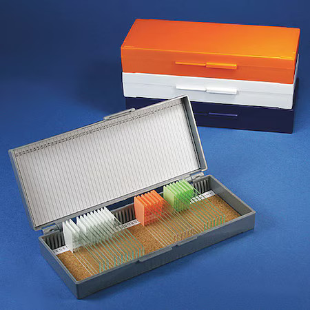 Globe Scientific 513077Ast Microscope Slide Box, Blue/Gray/Or/Wt, Pk5