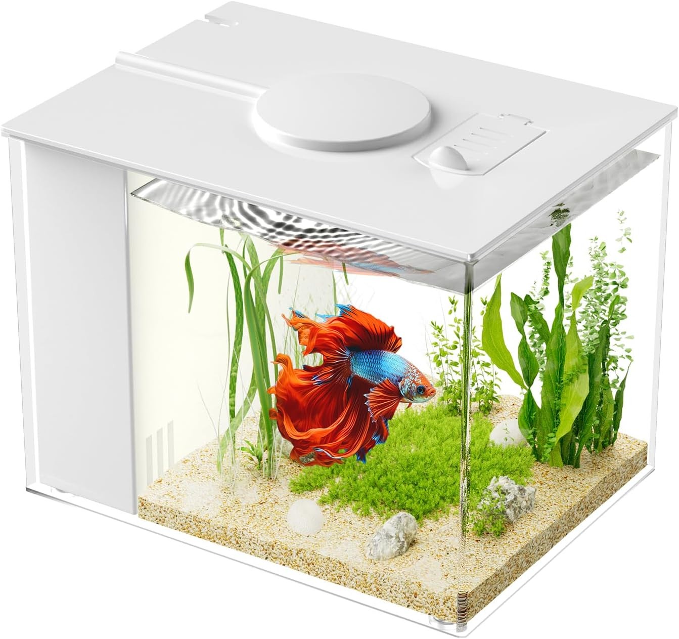 Vehipa 1 Gal Betta Aquarium Kit: Filter, LED, Acrylic Tank for Fish/Shrimp