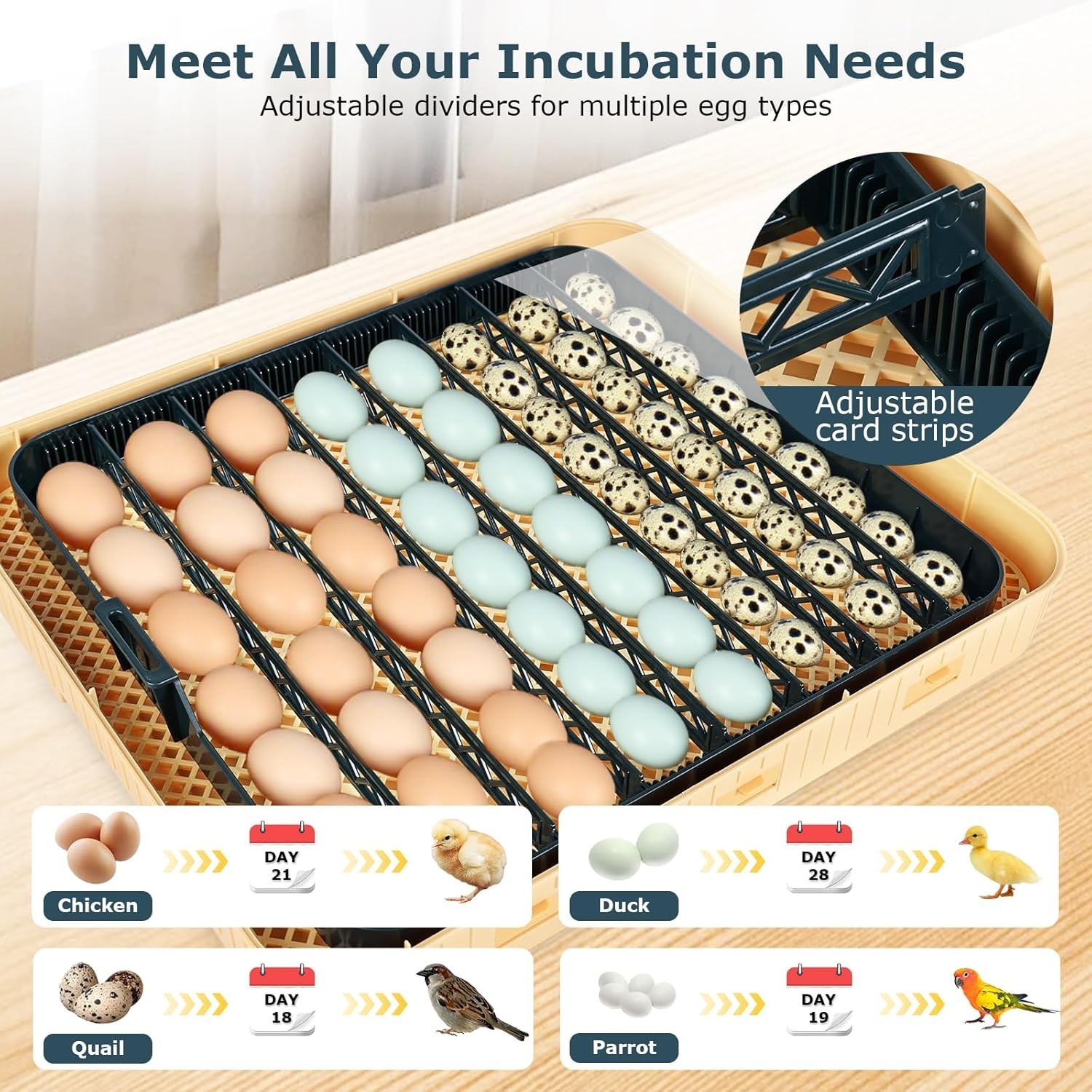 56-Egg Incubator: Temp & Humidity Control, Automatic Turner & 360° View