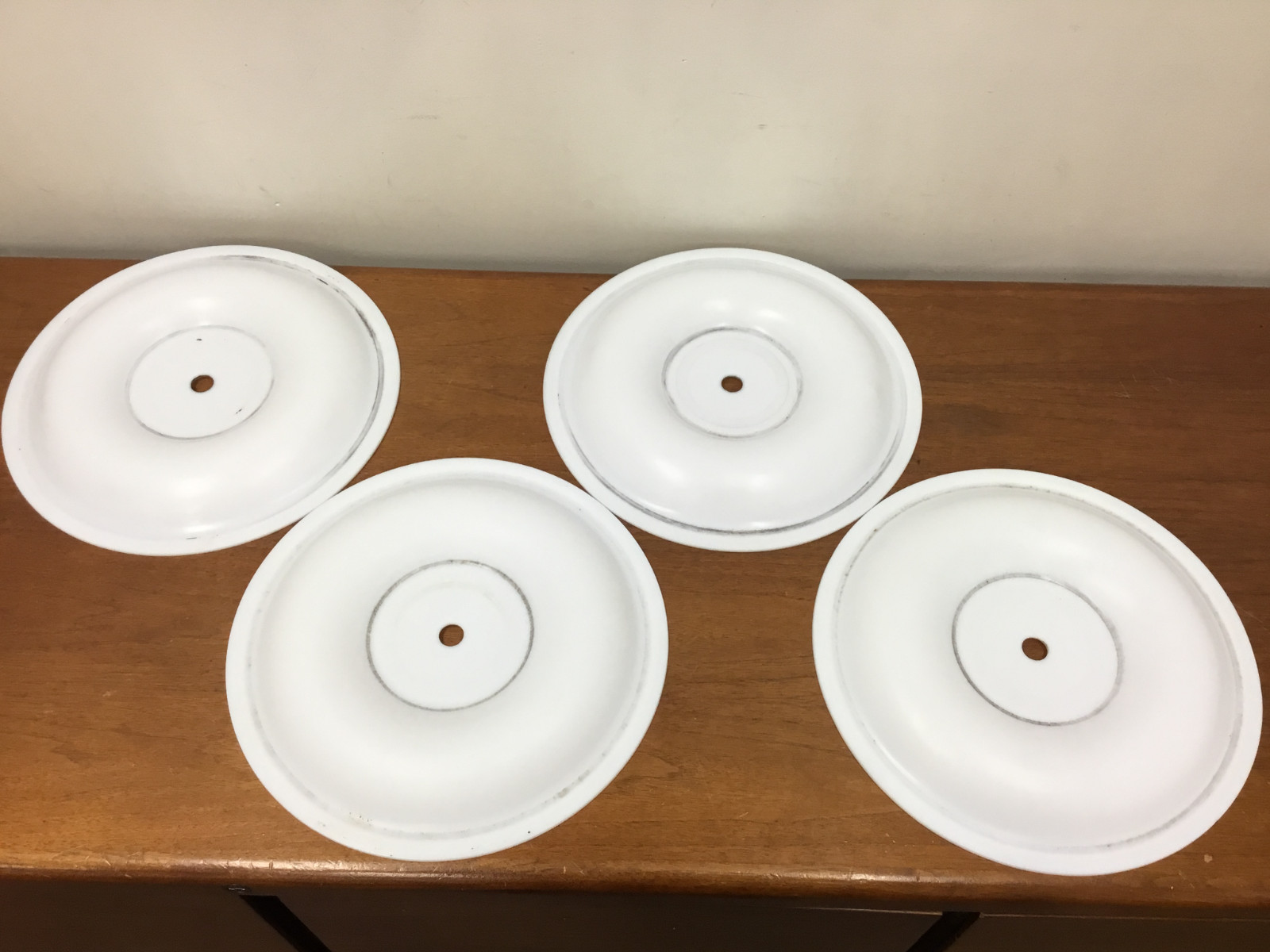 Pump Replacement Diaphragms, Teflon - LOT OF (4)