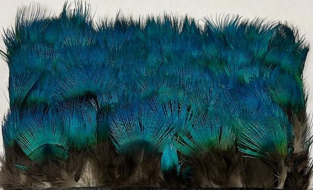 Blue Peacock Neck Feathers Super Selected 15 Large