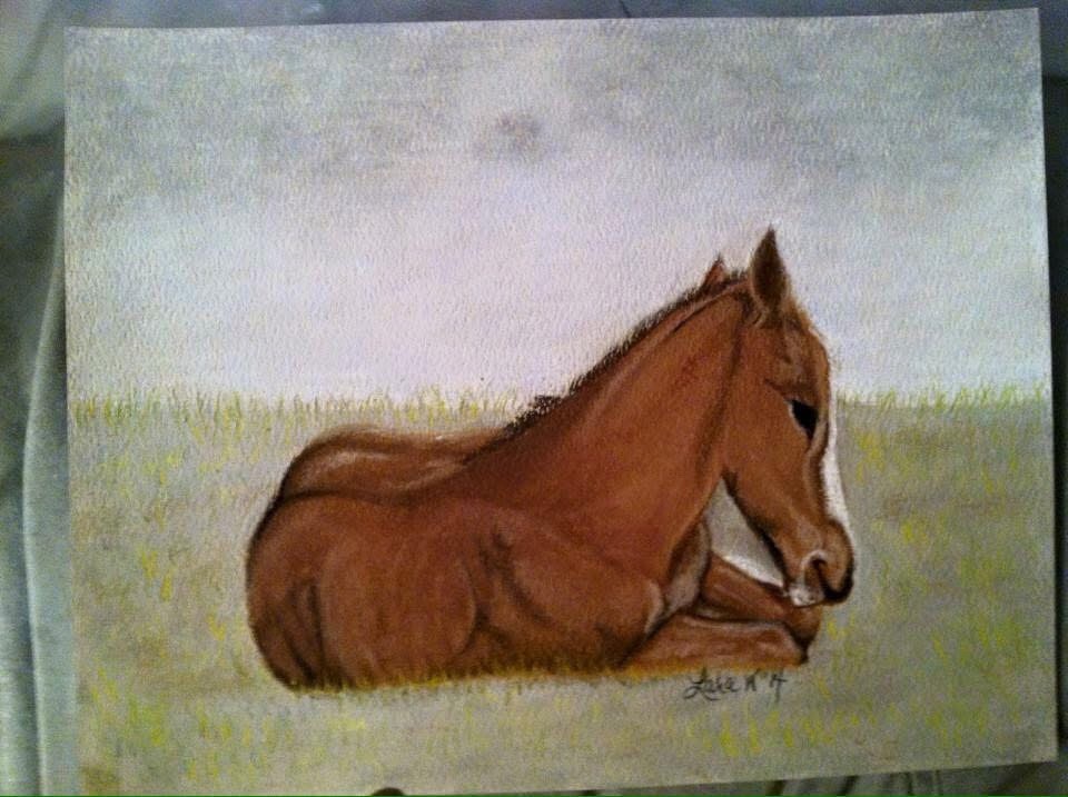 Beautiful colt hand drawn original pastel artwork signed and dated by myself .