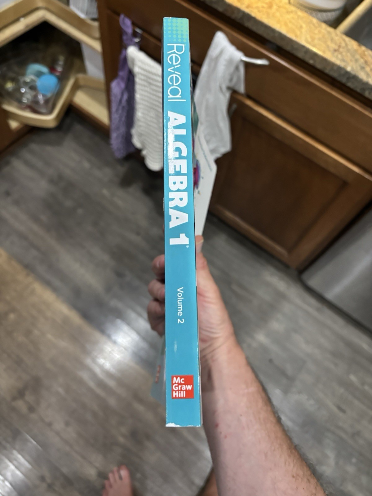 Reveal Algebra 1, Interactive Student Edition, Volume - Paperback - Very Good o