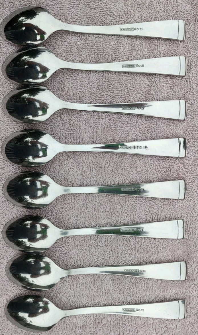 44pc Cambridge Gratitude Sand Stainless Flatware Complete service for 8+Serving