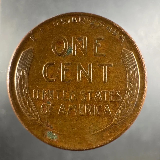 1956 D Lincoln Wheat Cent Lightly Circulated