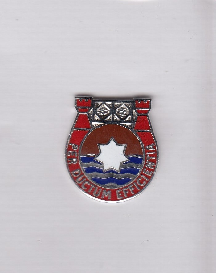 US Army 563rd Engineer Battalion DUI crest c/b clutchback badge G-23