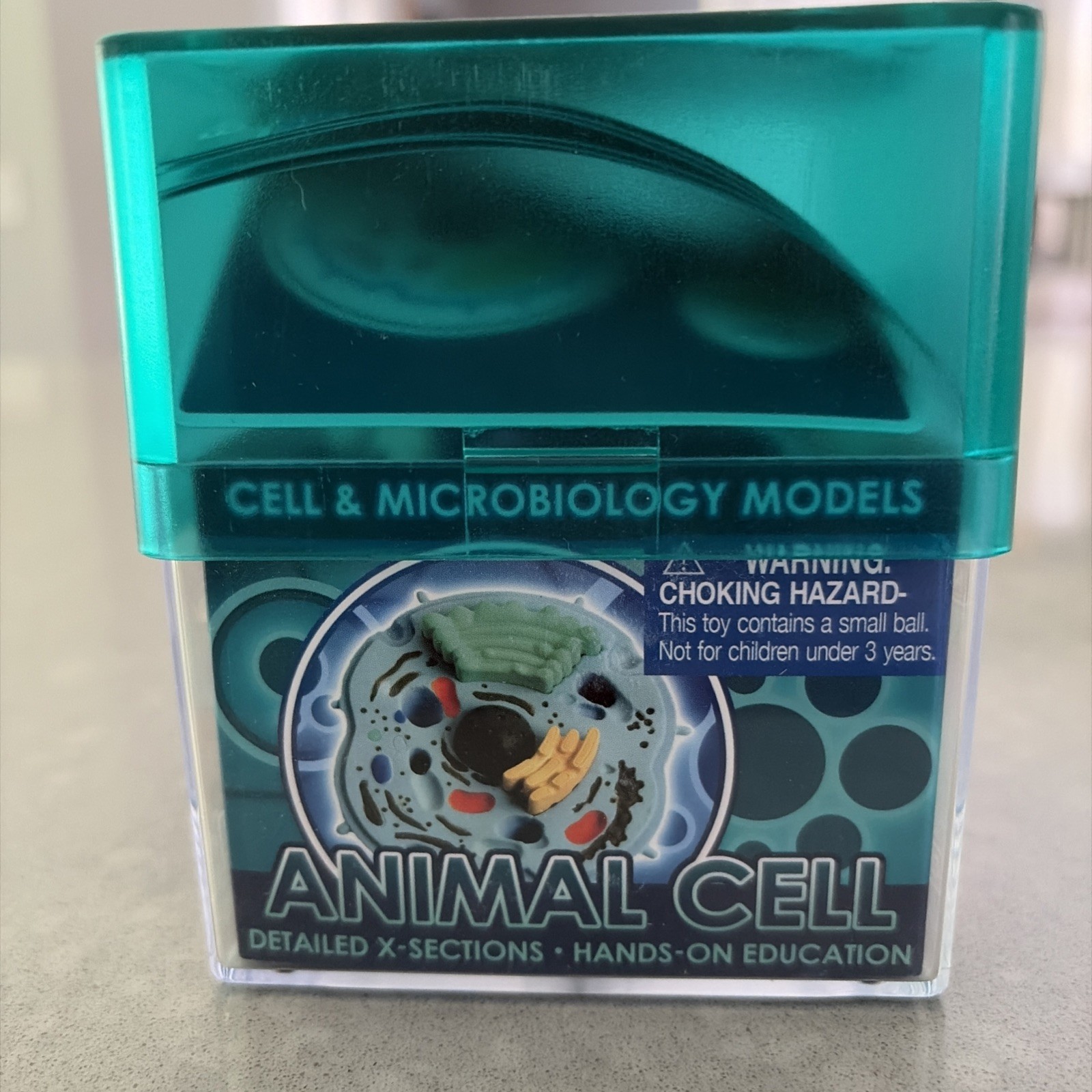 Ein-O Science BioSigns Animal Cell