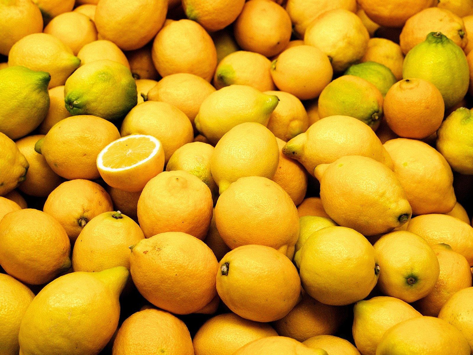 Meyer Lemons (Meyer Lemons 24 Pc's)