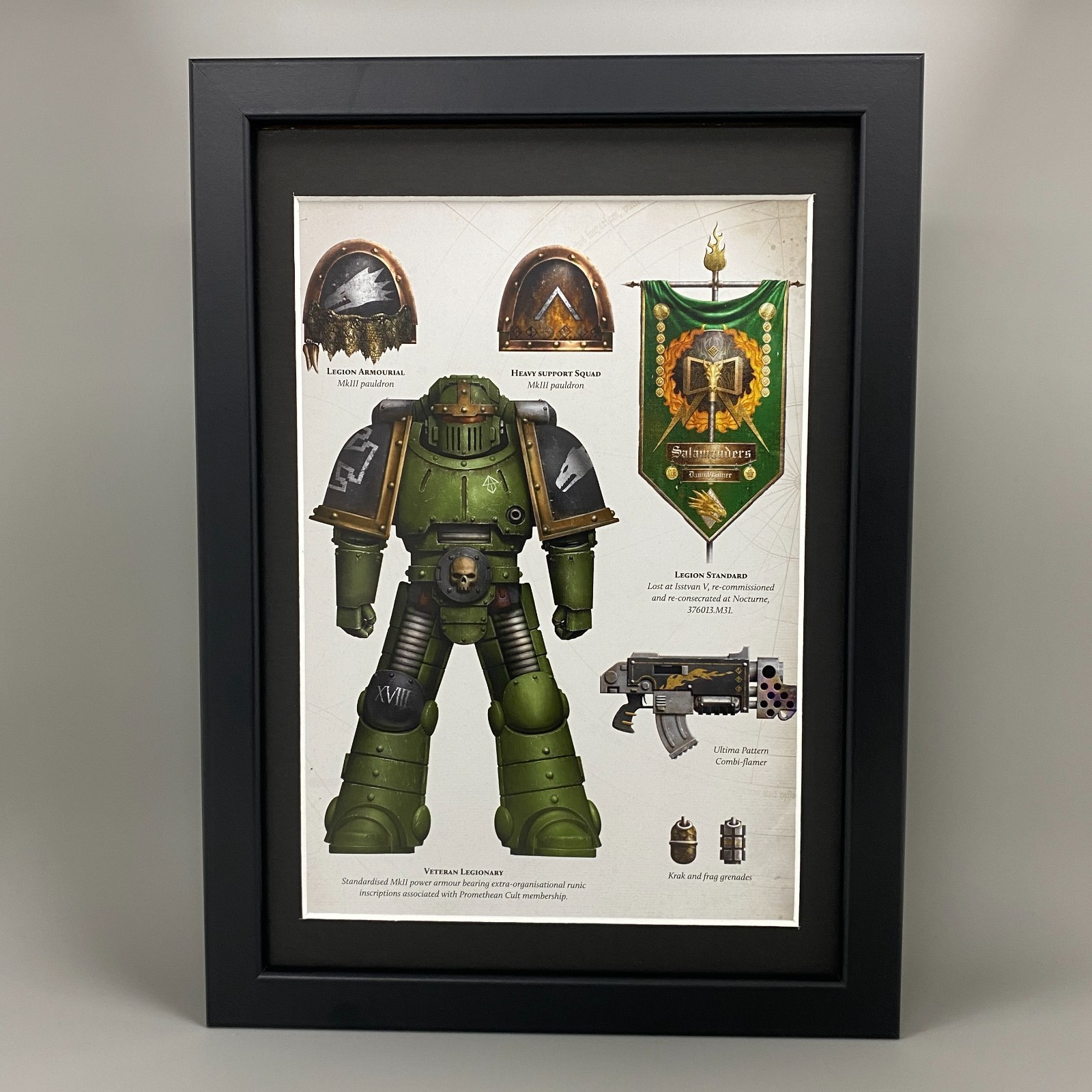 SALAMANDERS FRAMED ART SPACE MARINES LEGION COLOURS HORUS HERESY WARHAMMER 40K