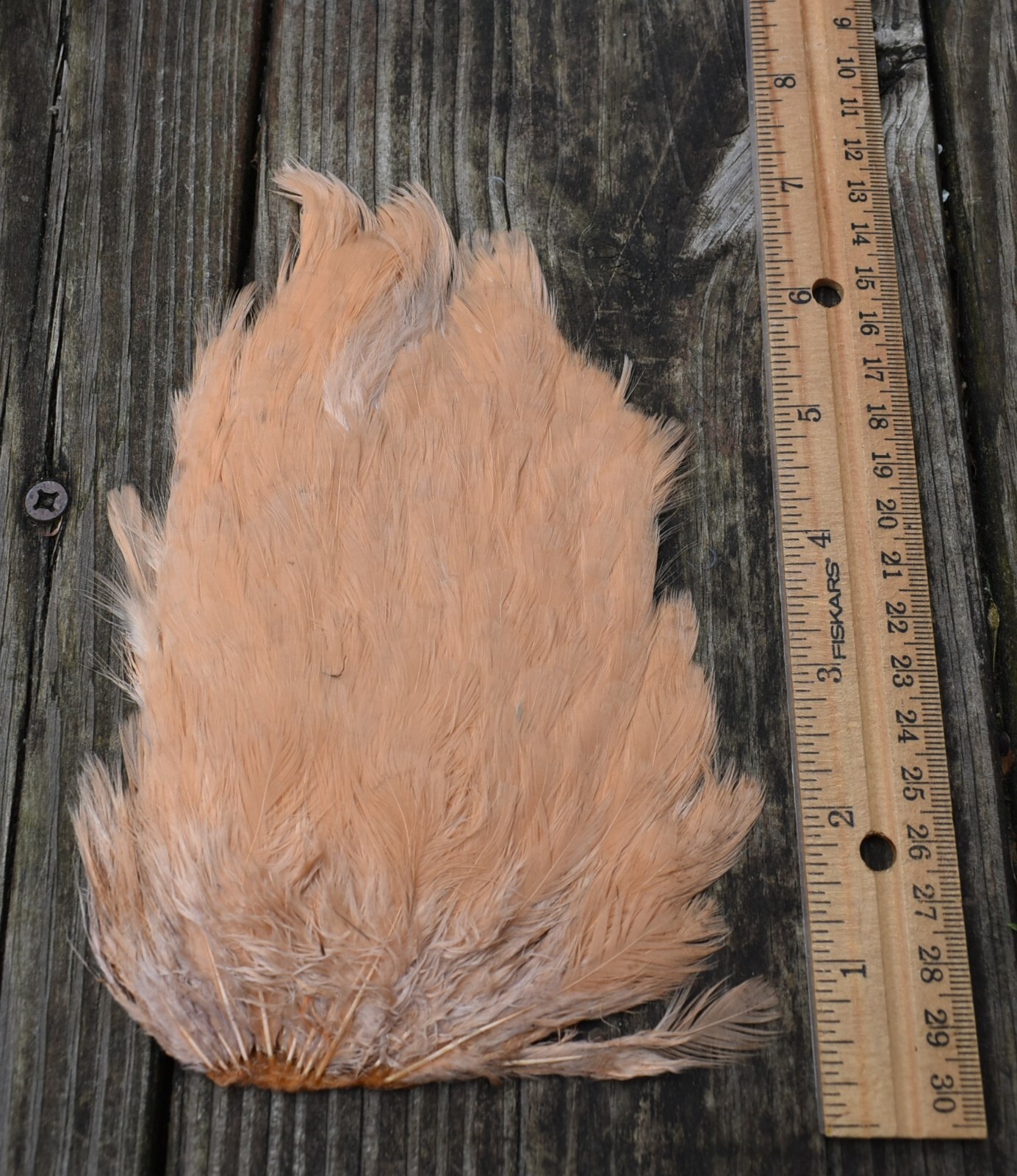 Lot 168,  Dyed Peach India Hen Back Saddle Feathers for Fly Tying
