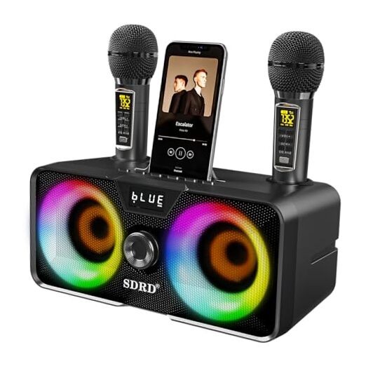 Karaoke Machine for Adults and Kids with 2 UHF Wireless Black