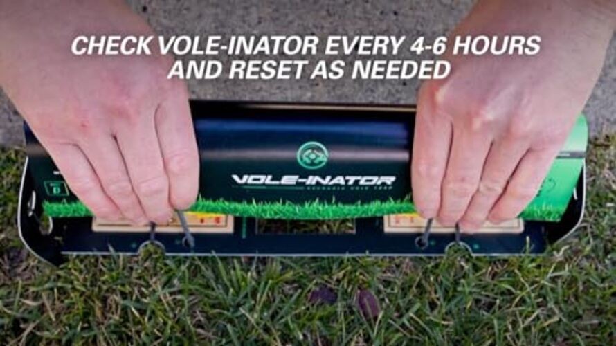 The Vole-inator Vole Station: Effective and Safe. Designed Specifically for 10