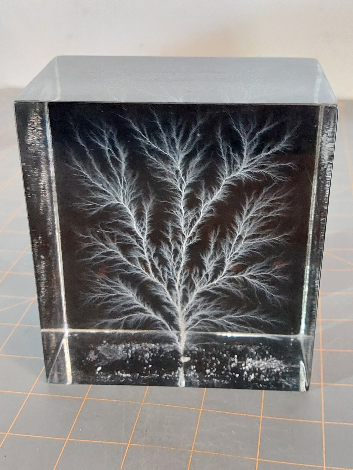 Captured Lightning Lichtenberg Figure Electron Tree Paperweight