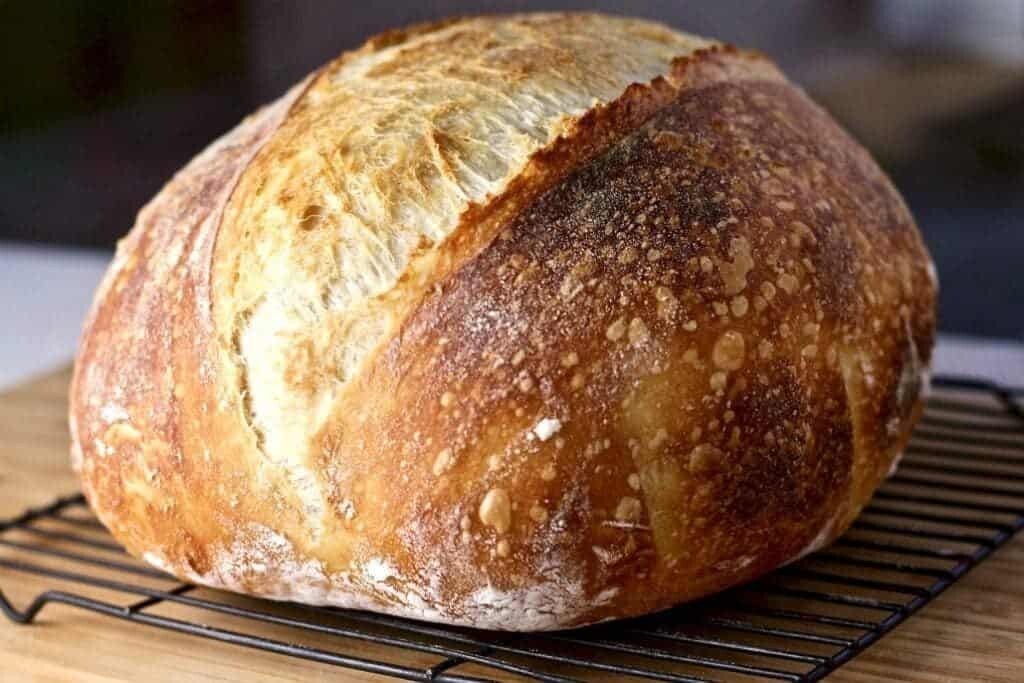 Sourdough Starter Dehydrated Sour Genoa Italy Italian 15 Gram Bag