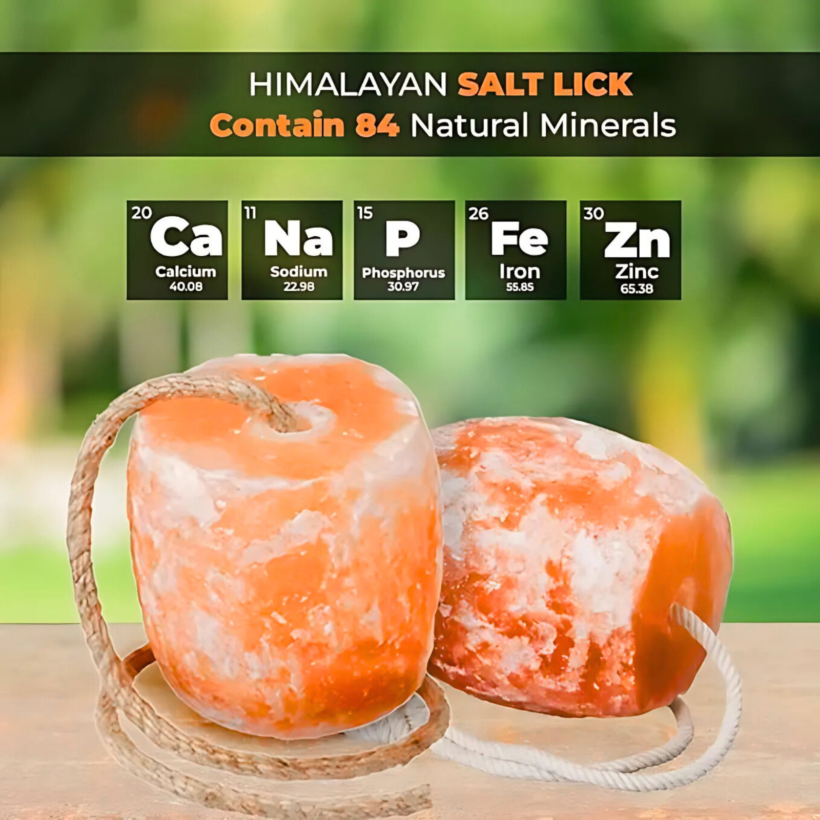 Horse Treats – Natural Himalayan Salt Lick Mineral Block for Horses (Pack of 12)