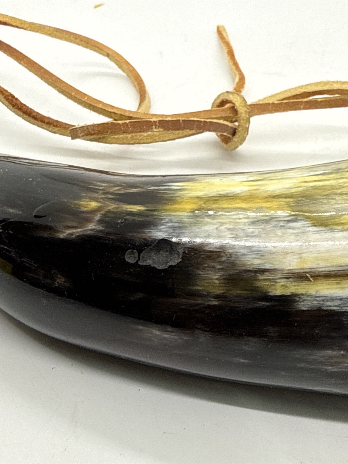 Powder Horn, 6”