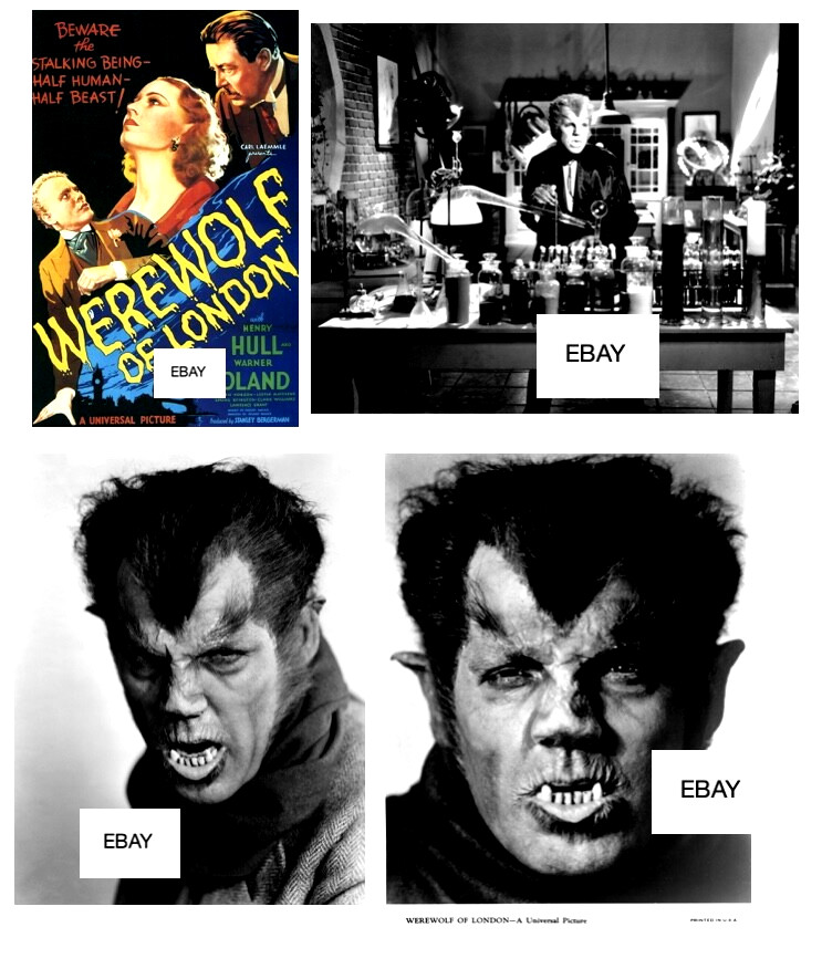 SALE: THE WEREWOLF OF LONDON 1935 MONSTER MOVIE PHOTO LOT #1 (4) WOLFMAN HORROR