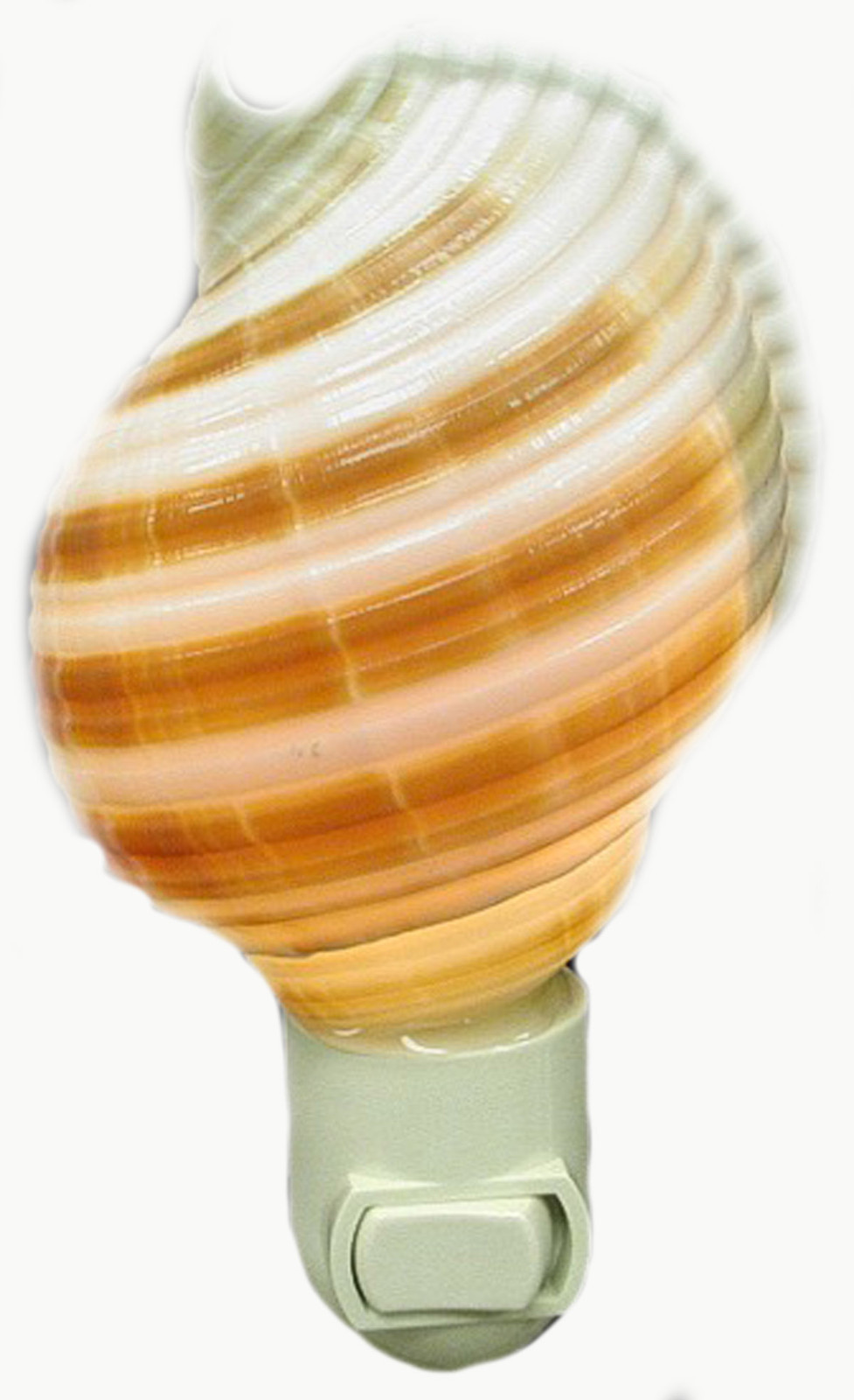 Real Seashell Night Light Selacosa Shell Decorative Beach Decor Nautical Gift