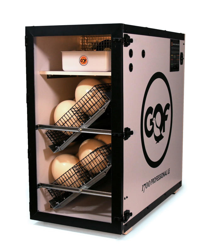 NEW GQF 1700 Professional LE Automatic Incubator Large Emu Ostrich Eggs CUStm