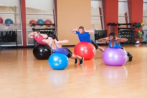 2000lb Static Capacity Stability Ball with Pump for Exercise Yoga & Therapy