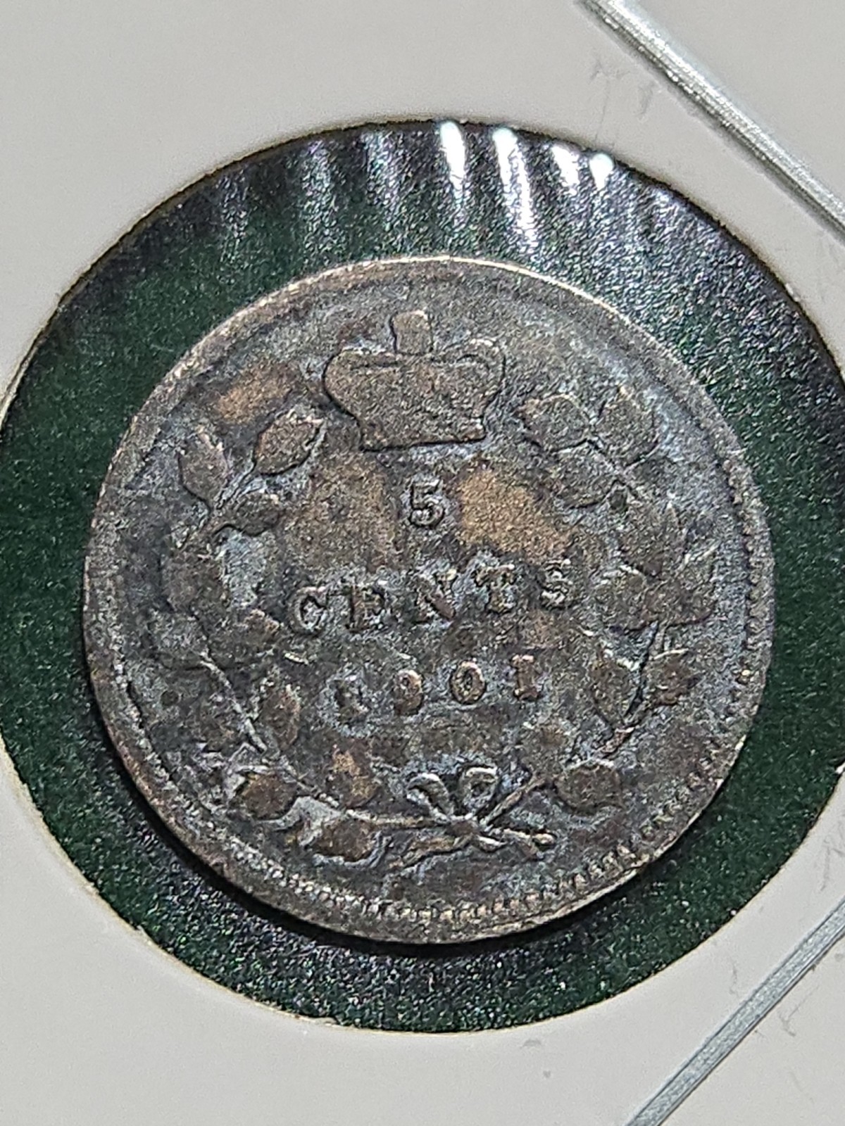 1901 Canada 5 Cents Silver! V2