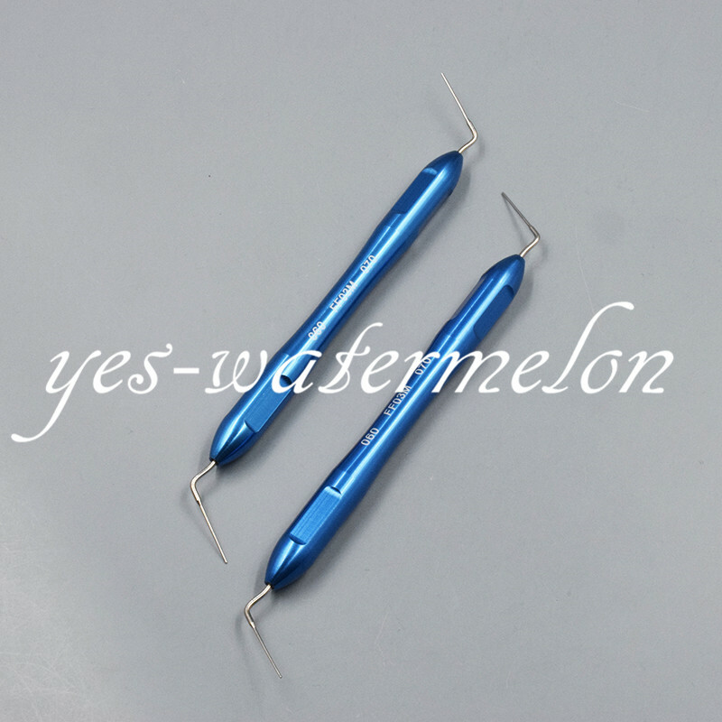 Dental Endodontic Endo Buchanan Hand Plugger Tip Fill Obturation Screw-type