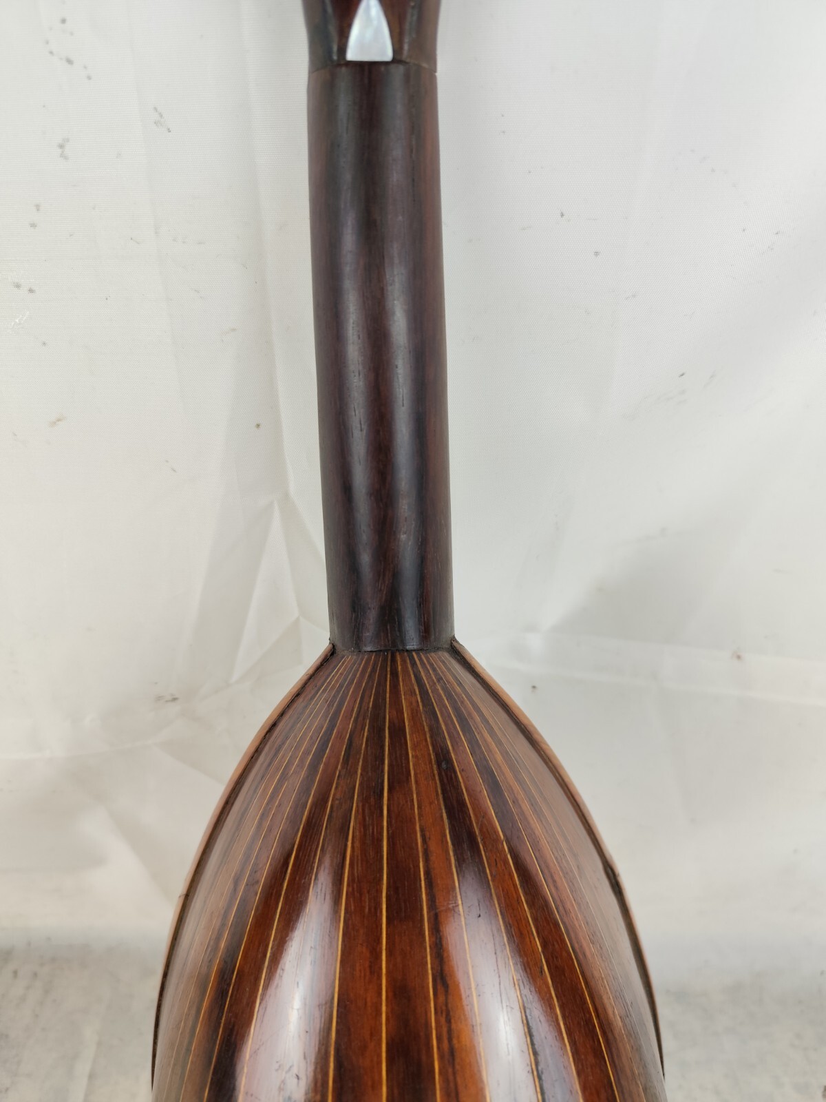 Mandolin 4/4 E. De Cristofaro 1901 Naples 曼陀林 만돌린マンドリン