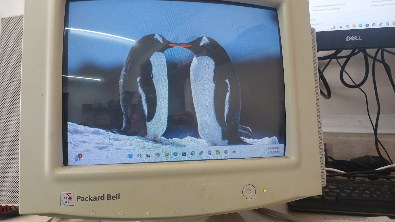 Vintage Packard Bell 1401S 14" VGA CRT Monitor *SCREEN WORKING* NO SPEAKER SOUND