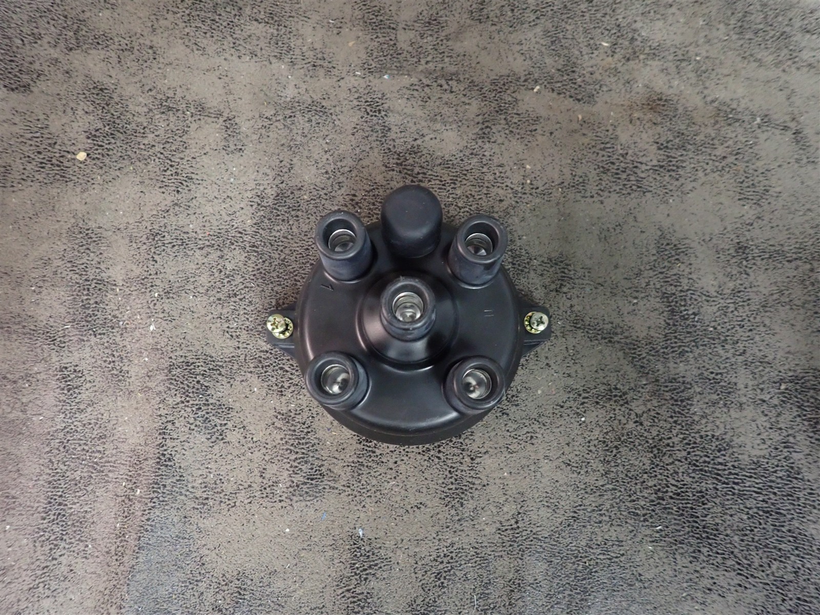 NEW WVE 5D1131 Distributor Cap (G216)