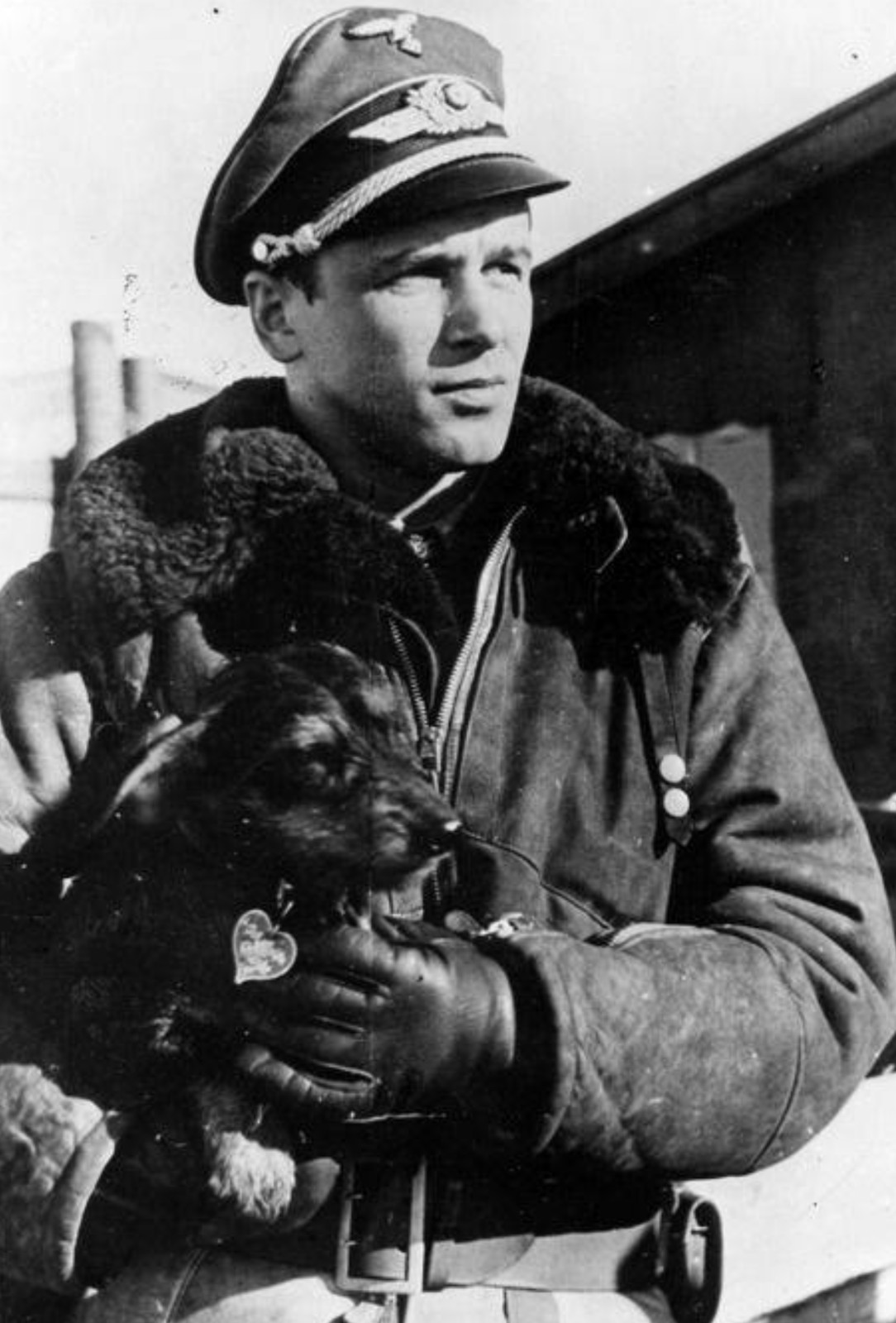WW2 WWII Photo Luftwaffe Pilot Hans Philipp w Dog  World War Two Germany / 2673