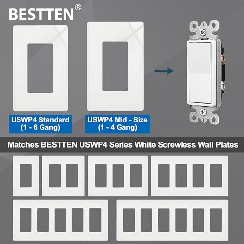 Pack Decorator Light Switch with Wallplate, 15A 120/277V, Single Pole 10 white