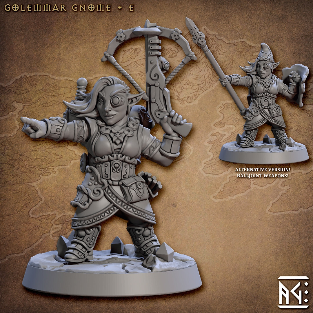 Gnome Fighter E ALTERNATE - Artisan Guild - Dungeons and Dragons