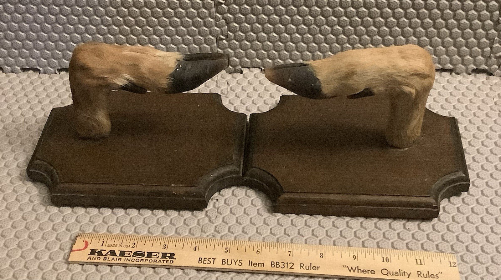 Pair of Taxidermy Deer Hoof Hooks Gun Rack on Wooden Plaques Feet Foot Vintage