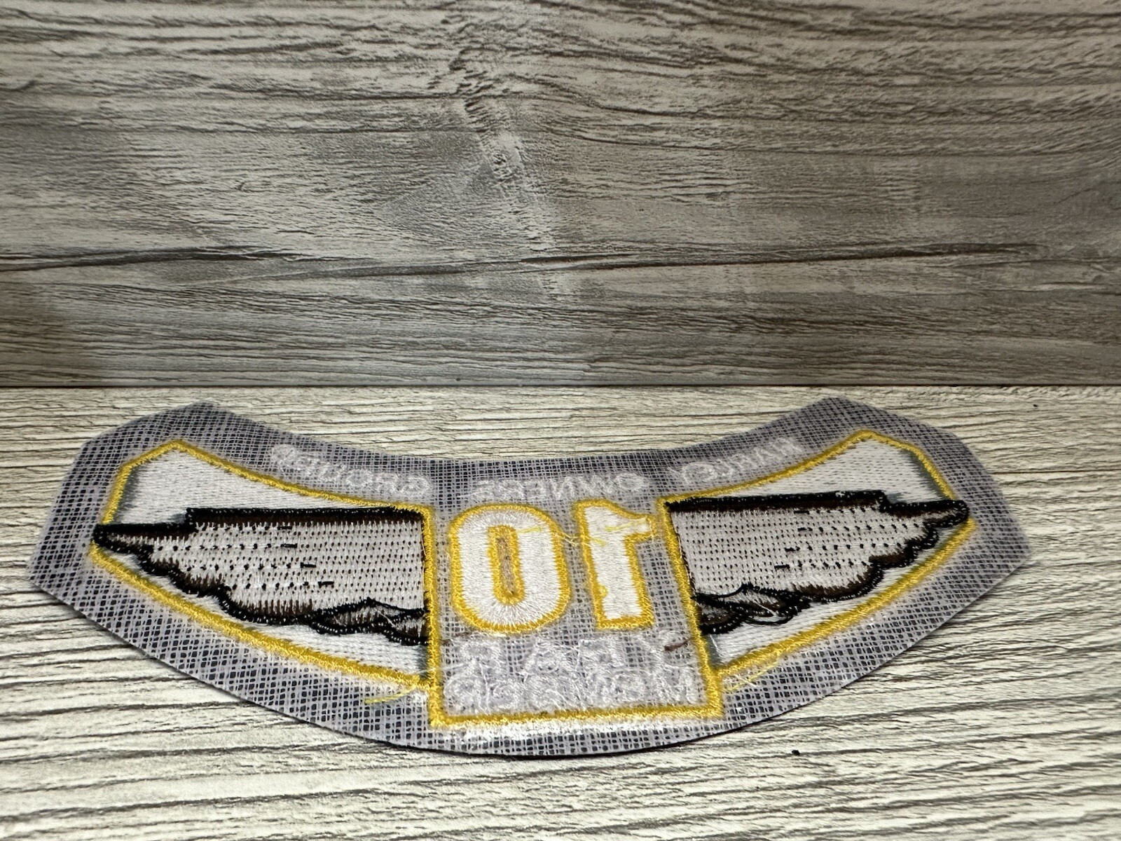 Harley Davidson HOG Owners Group Winged 10 Year Member Patch